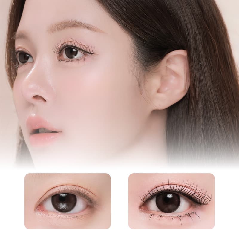 꽁래쉬 Kn7 DAISY